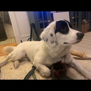 Meet your Posher, William